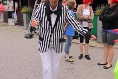 kirmeszug_109_20130707_1428781226