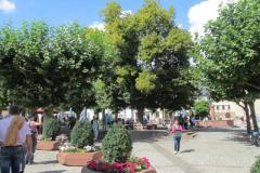 K640_IMG_0093
