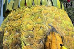 IMG-20230625-WA0116