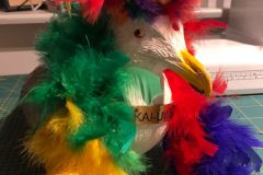 IMG-20230613-WA0006