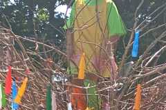 IMG-20260620-WA0031